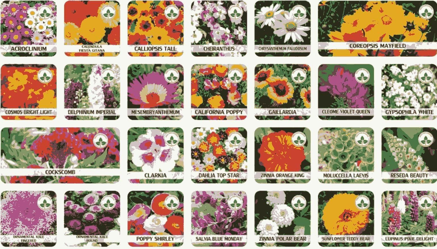 Varieties of Flower Seeds (Pack of 100) And Get Plant Growth Supplement Free
